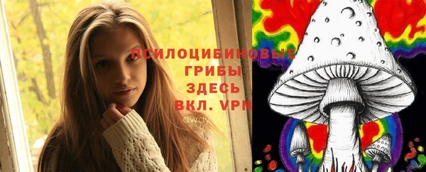 стаф Покровск